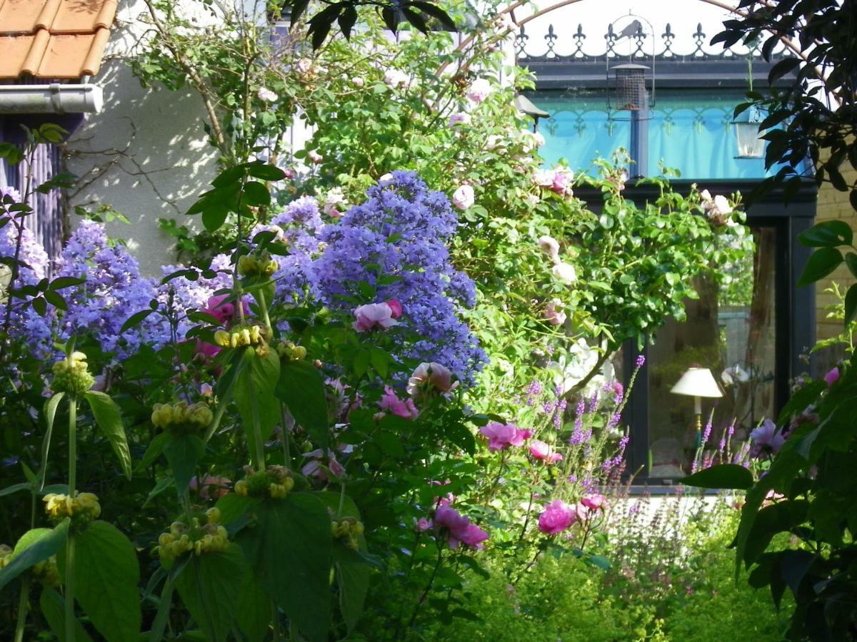 La Colline Des Roses Bed & Breakfast Conchil-le-Temple Exterior photo